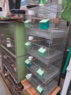 4 delige zangkooi, Dieren en Toebehoren, Vogels | Hokken en Kooien, Ophalen, Gebruikt, Metaal, Vogelkooi