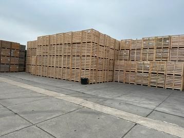 Palletboxen fruitkisten plantenbox  beschikbaar voor biedingen
