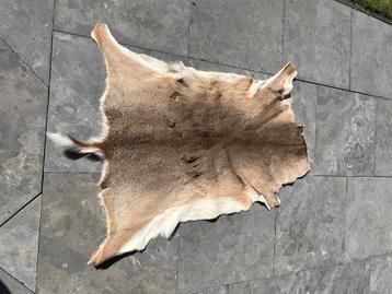 Geiten vacht, woonaccessoire, plaid, kleed beschikbaar voor biedingen