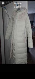 NIKKIE puffer winterjas maat S nieuw, Kleding | Dames, Jassen | Winter, Ophalen of Verzenden, Zo goed als nieuw, Zwart