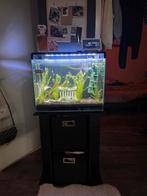 Superfish Home 85, Dieren en Toebehoren, Vissen | Aquaria en Toebehoren, Ophalen, Leeg aquarium