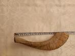 Unieke Shofar - 26 cm - voor Feestdagen & Treurdagen, Antiek en Kunst, Ophalen of Verzenden