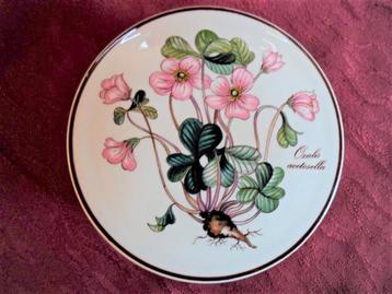 Bonbondoosje. Oxalis Acetosella. Botanica. Villeroy en Boch beschikbaar voor biedingen