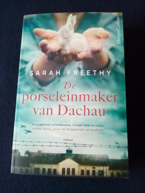 De porseleinmaker van Dachau - Sarah Freethy, Boeken, Historische romans, Zo goed als nieuw, Ophalen of Verzenden