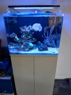 Compleete zee aquarium bleu marine 90 a 120 liter, Dieren en Toebehoren, Vissen | Aquaria en Toebehoren, Ophalen of Verzenden