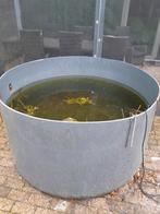 vijver+pomp+ vissen, Tuin en Terras, Vijvers, Ophalen, Gebruikt