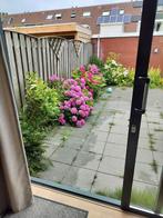 5 struiken gratis weghalen, Ophalen, Zo goed als nieuw, Minder dan 3 meter