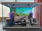 Aquarium Superfish Start 70 (60 Liter), Ophalen, Gebruikt, Leeg aquarium