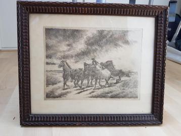 Koperdruk van paarden beschikbaar voor biedingen