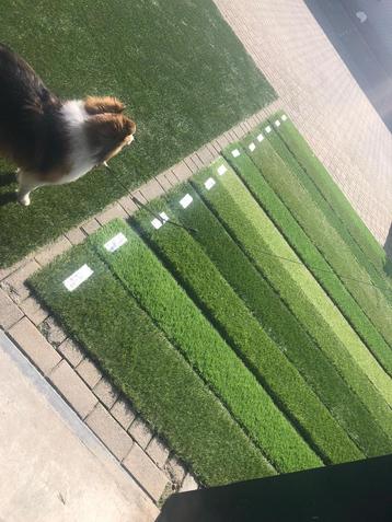 Kunstgras RECLAME SOORTEN beschikbaar voor biedingen