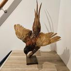 Opgezette Fazant opgezet taxidermie taxidermy geprepareerd, Verzamelen, Ophalen, Gebruikt, Vogel, Opgezet dier