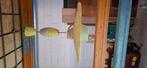 Erco hanglamp vintage, Huis en Inrichting, Lampen | Hanglampen, Ophalen, Minder dan 50 cm