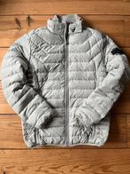 Airforce jas - Maat M - Nieuw!, Kleding | Dames, Wintersportkleding, Ophalen of Verzenden, Nieuw, Maat 38/40 (M), Jack