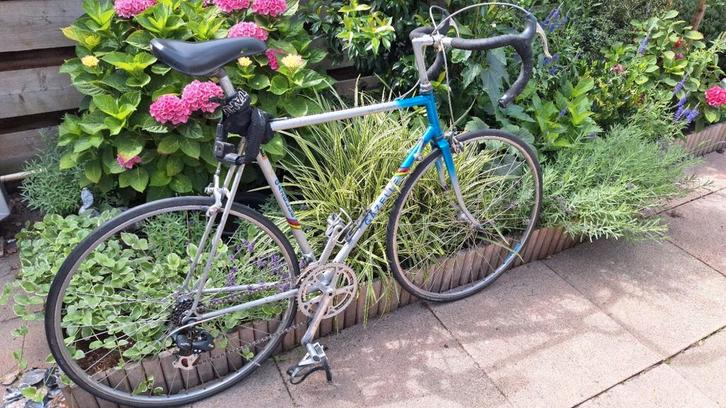 Gazelle Tour l'avenir vintage racefiets wielrennen, Fietsen en Brommers, Fietsen | Racefietsen, Gebruikt, Heren, Gazelle, 10 tot 15 versnellingen