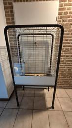 Vogelkooi, papegaaienkooi, goede staat, gebruikt,, Ophalen of Verzenden, Gebruikt, Metaal, Vogelkooi