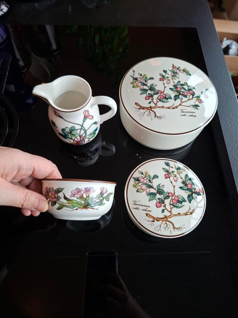 Leuk set van 4 Villeroy & Boch Botanica items., Ophalen of Verzenden, Zo goed als nieuw, Kom(men), Overige stijlen