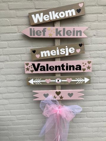 geboorte bord meisje beschikbaar voor biedingen