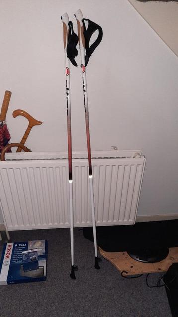 wandelstokken  beschikbaar voor biedingen