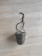 Plantenhanger, Ophalen, Overige kleuren, Minder dan 50 cm, Glas