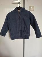 Maat 110-116 lekker warm vest hema gevoerd, Ophalen of Verzenden, Zo goed als nieuw, Meisje, Trui of Vest