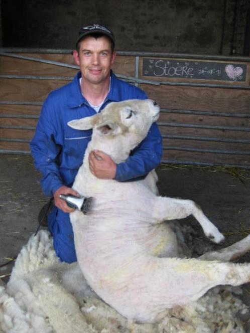 Schapen scheren, alpaca’s scheren, geiten hoefjes bekappen, Diensten en Vakmensen, Dieren | Overige | Verzorging, Oppas en Les