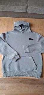 AB hoodie grijs, maat L, Kleding | Heren, Maat 52/54 (L), AB Lifestyle, Ophalen of Verzenden, Grijs