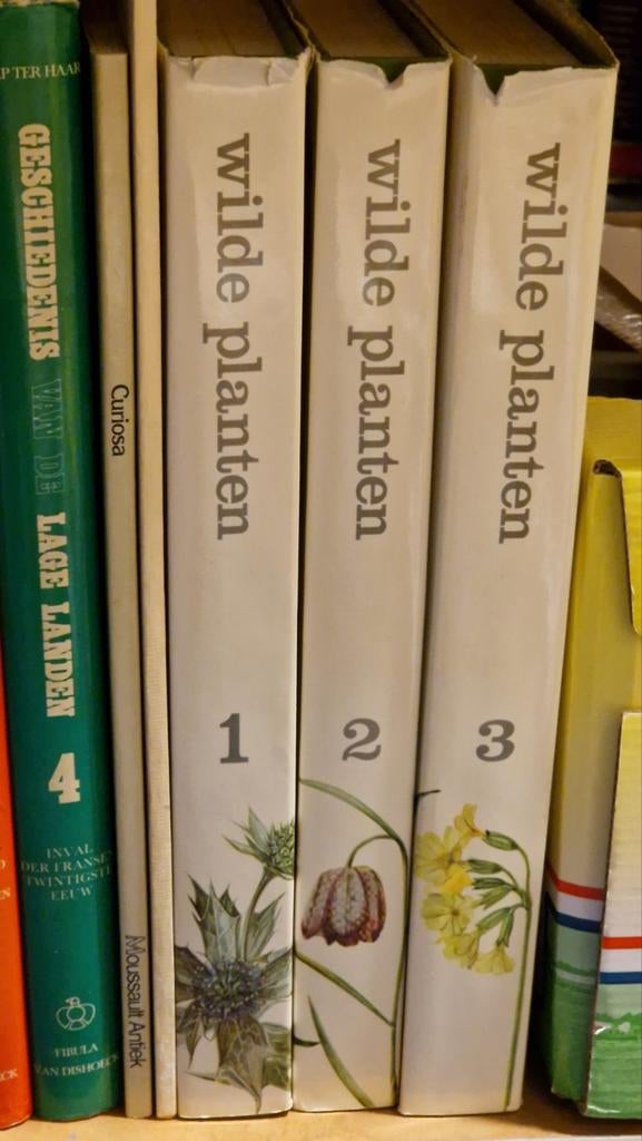 Wilde planten -  3 delen, Ophalen of Verzenden, Bloemen, Planten en Bomen