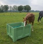 Slowfeeder xxl in nieuwstaat maaswijdte 40mm., Dieren en Toebehoren, Paarden en Pony's | Overige Paardenspullen, Ophalen, Zo goed als nieuw