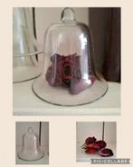 Super leuke glazen cloche., Ophalen of Verzenden