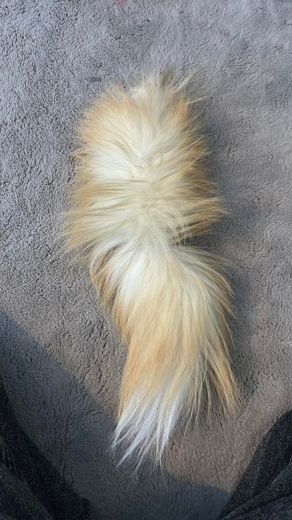 Therian staart, Ophalen of Verzenden, Zo goed als nieuw