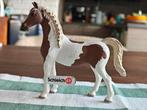 Schleich Paarden Collectie, Ophalen of Verzenden, Gebruikt, Paard