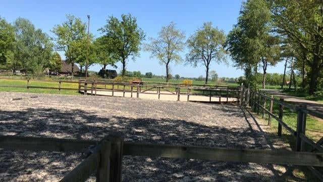 Twee paardenboxen en rijfaciliteiten te huur!, Weidegang, 2 of 3 paarden of pony's