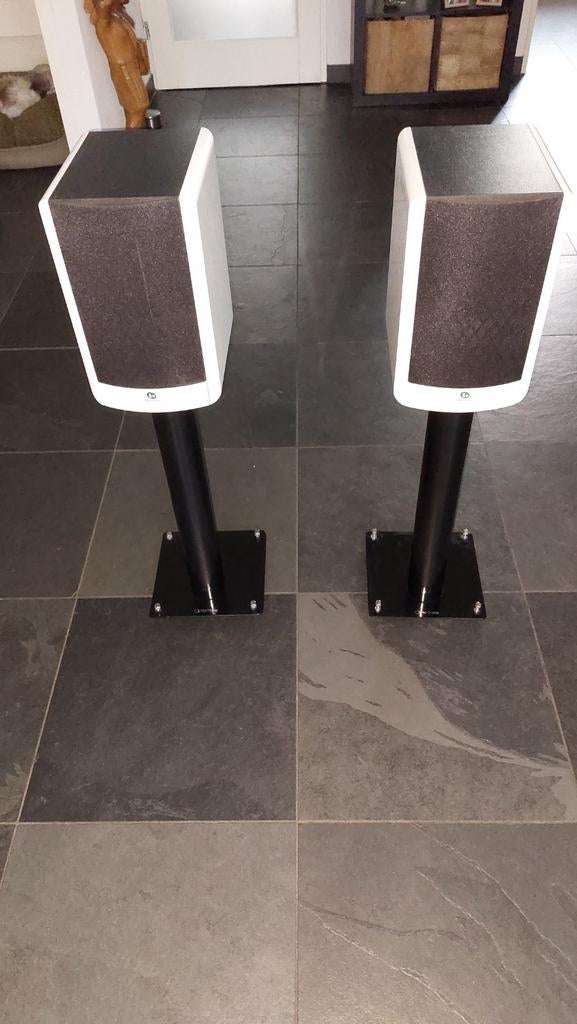 Boston Acoustic A25 speakers met stands, Zo goed als nieuw, 60 tot 120 watt, Front, Rear of Stereo speakers, Ophalen