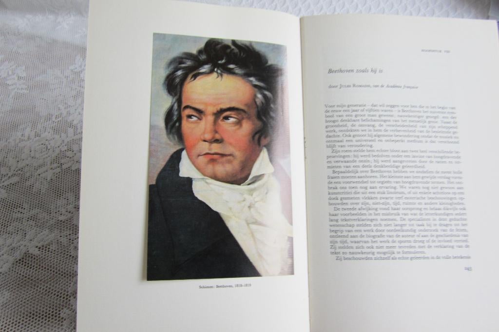 Ludwig van Beethoven boek "Genie en wereld", Boeken, Ophalen of Verzenden, Gelezen, Diverse
