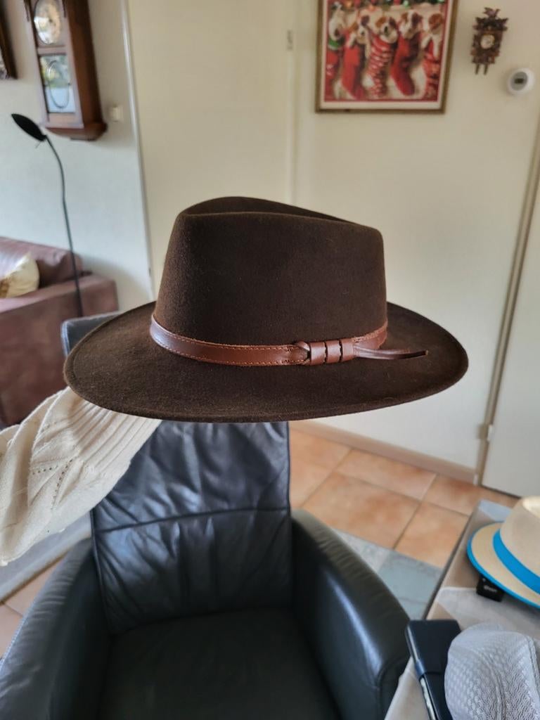 Mooie bruine Darwin hoed van 100% wol, maat L, Hoed, Ophalen of Verzenden, Zo goed als nieuw, Darwin