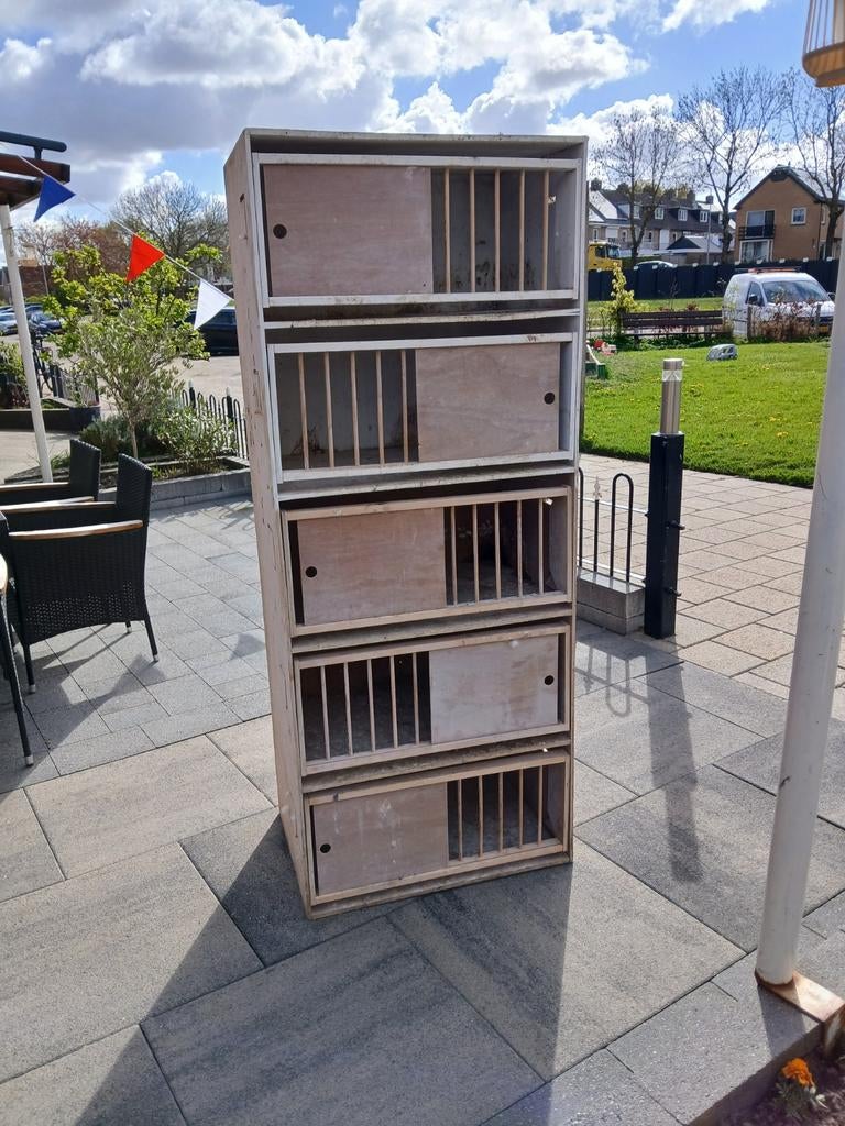 Duiven spullen, Meerdere dieren