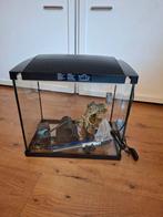 Aquarium, Dieren en Toebehoren, Vissen | Aquaria en Toebehoren, Ophalen, Leeg aquarium