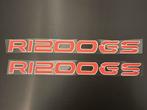 BMW R1200 GS Snavelsticker, Motoren, Onderdelen | BMW, Ophalen of Verzenden, Nieuw