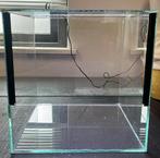 Terrarium 30x30x30 valdeur, incl led lamp., Dieren en Toebehoren, Reptielen en Amfibieën | Toebehoren, Ophalen, Nieuw, Terrarium of Paludarium