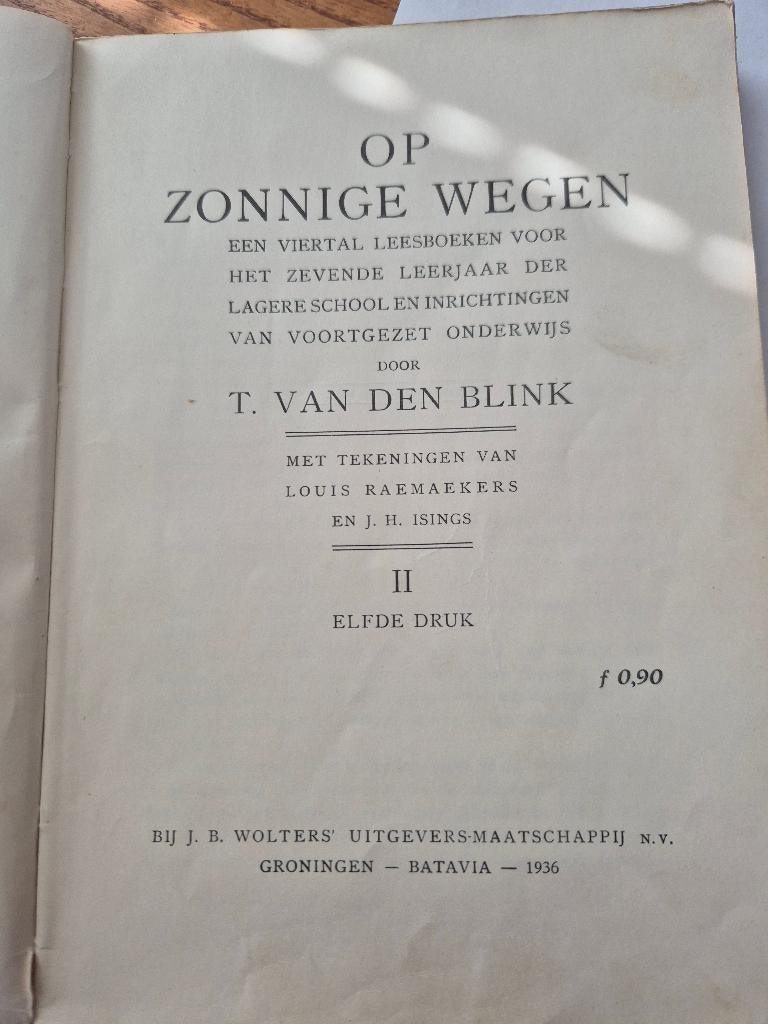 Op zonnige wegen – Van den Blink, Boeken, Schoolboeken, Gelezen, Overige niveaus, Ophalen of Verzenden
