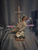 Rariteit, voor in de mancave, tattoo/ barbershop, etc, etc., Antiek en Kunst, Ophalen of Verzenden