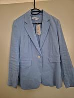 Nieuwe blazer Mango XL jasje colbert, Mango, Blauw, Maat 42/44 (L), Nieuw