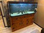 Aquarium 400 liter met alles er bij, Ophalen, Zo goed als nieuw, Leeg aquarium