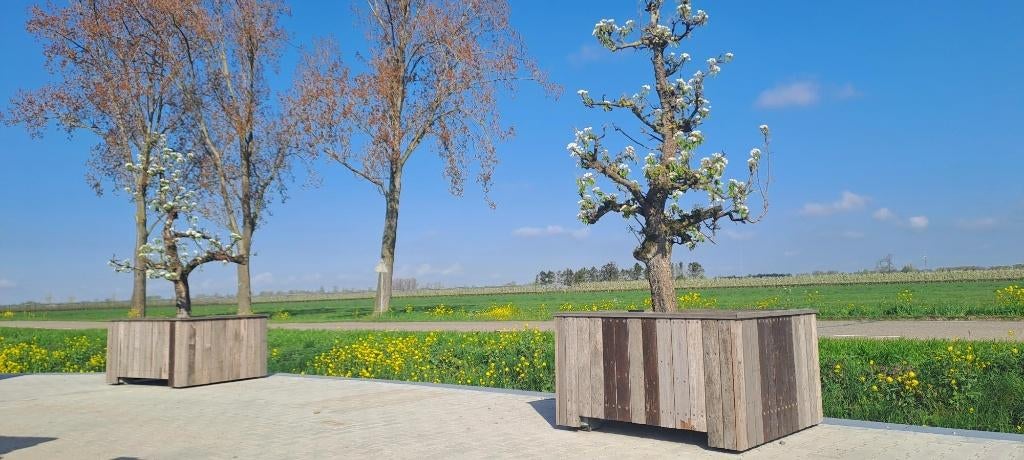 Bomenbak, Tuin en Terras, Bloembakken en Plantenbakken, Ophalen, 100 cm of meer, 60 cm of meer, Rechthoekig