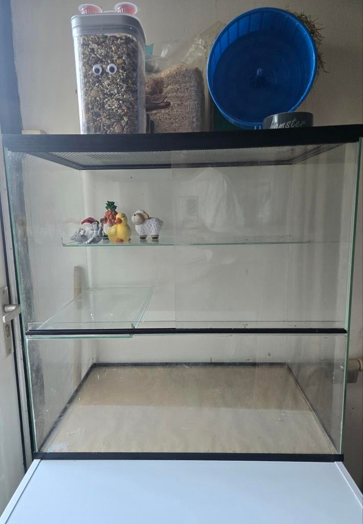 Hamster kooi / hok / scaping, Ophalen, Kooi, 60 tot 90 cm, Minder dan 75 cm