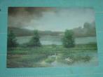 22) Kleuren ansichtkaart  Zwanen Vogels, Ophalen of Verzenden, 1980 tot heden, Gelopen, Vogel