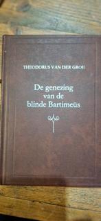 De Genezing van de blinde Bartimeüs - Theodorus van der Groe, Ophalen of Verzenden, Gelezen, Theodorus van der Groe, Christendom | Katholiek