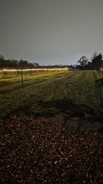 Gezocht: weiland/braakliggende grond (500-1250m²)