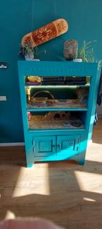 Cavia kast /cavia flat met verlichting, Ophalen