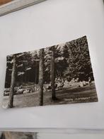 CAMPING. VLINTENHOLT. ODOORN 1972, Ophalen of Verzenden, 1960 tot 1980, Zeeland